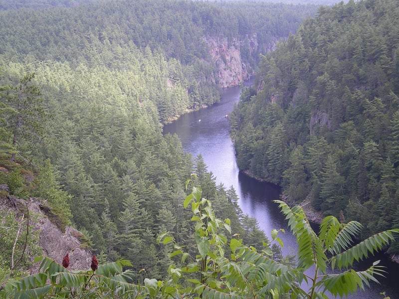 Algonquin Park